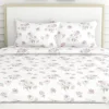 Haus & Kinder Double Size Bedsheets for Bed