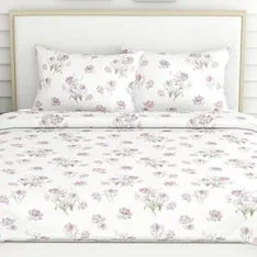 Haus & Kinder Double Size Bedsheets for Bed