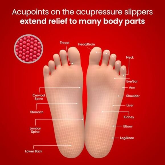Dr.Ortho Ladies Acupressure Slippers | Flip-Flops | Women's & Girl's Slippers | Comfortable & Lightweight | Soft Foot Massager | All Day Wear - Image 3