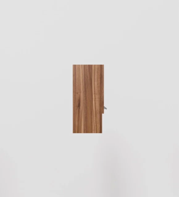 Myra Engineered wood Wall Mounted Kitchen Cabinet - Image 4