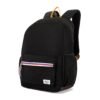 American Tourister Carter, 28L Volume College and Office 4 Compartment Laptop Backpack