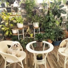 Indiid Homes Patio Seating Chair And Table Set Garden Coffee Table Set With 1 Table And 2 Chairs Set Outdoo